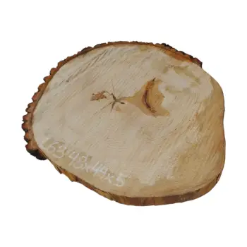 Plaster Lipy 48x44x5cm
