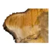 Plaster Lipy 106x68x9cm