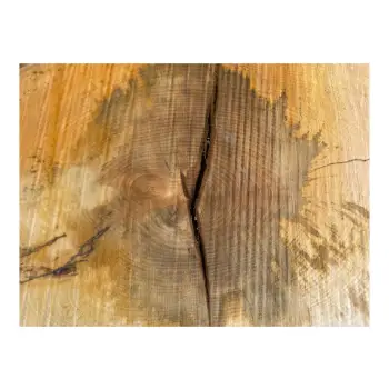 Plaster Lipy 106x68x9cm