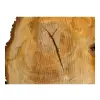 Plaster Lipy 107x66x9cm