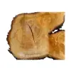 Plaster Lipy 107x66x9cm
