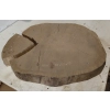 Plaster Dębowy 69x55x10cm Dąb