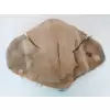 Plaster Dębowy 58x46cm