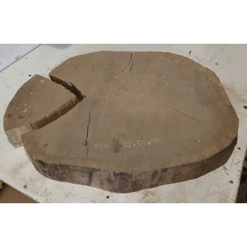 Plaster Dębowy 69x55x10cm Dąb