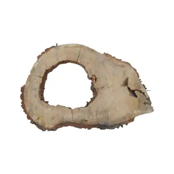 Plaster Dębowy 82x56x10cm Dąb