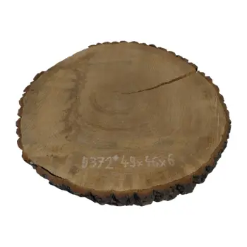 Plaster Dębowy 49x46x6cm Dąb