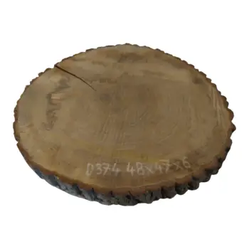 Plaster Dębowy 48x47x6cm Dąb