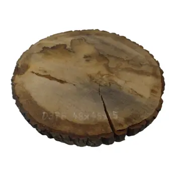 Plaster Dębowy 48x45x5cm Dąb