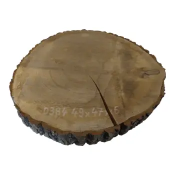 Plaster Dębowy 49x47x6cm Dąb