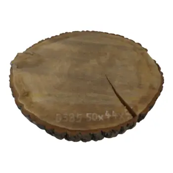 Plaster Dębowy 50x44x5cm Dąb