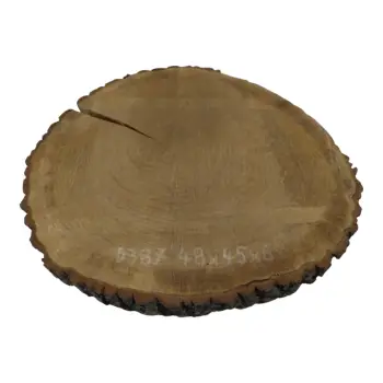 Plaster Dębowy 48x45x6cm Dąb