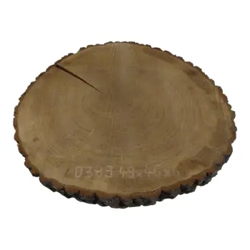 Plaster Dębowy 49x46x6cm Dąb