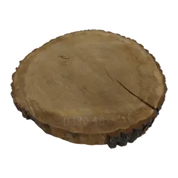 Plaster Dębowy 48x46x6cm Dąb