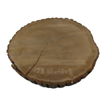 Plaster Dębowy 48x46x5cm Dąb