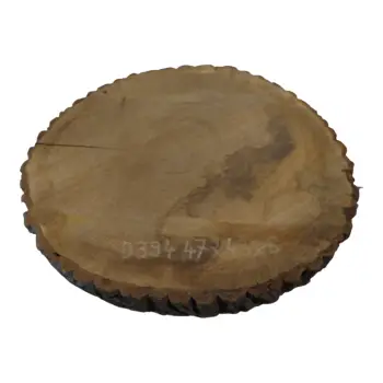 Plaster Dębowy 47x43x6cm Dąb
