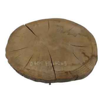 Plaster Dębowy 45x42x5cm Dąb