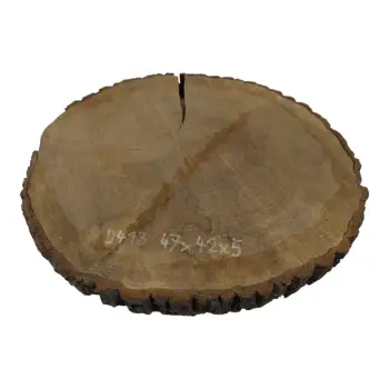 Plaster Dębowy 47x42x5cm Dąb