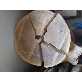 Plaster Dębowy 81x76x9cm Dąb po suszarni