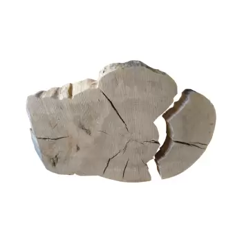 Plaster Jesionowy po Suszarni 108x83x9cm
