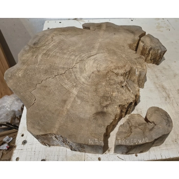 Plaster Wiązu 78x64x10cm