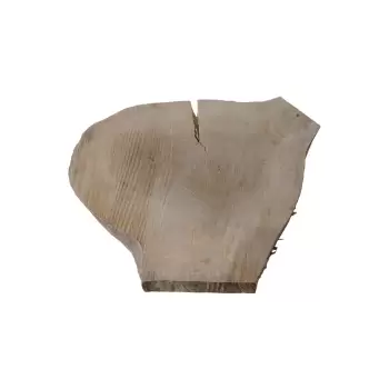 Plaster Topoli 47x40cm