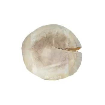 Plaster Topoli 63x61cm