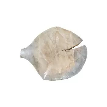 Plaster Topoli 74x62cm