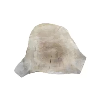 Plaster Topoli 80x62cm