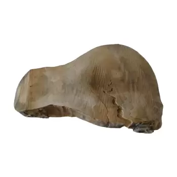 Plaster Topoli 63x50cm