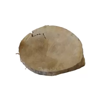 Plaster Topoli 48x42cm