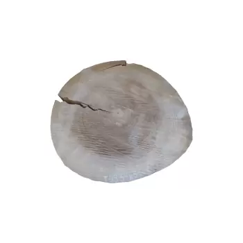 Plaster Topoli 54x51cm