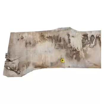 Monolit Dębowy 254x90x7 cm Dąb po Suszarni