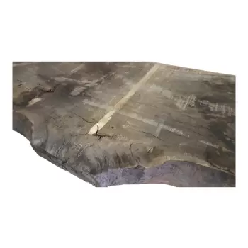 Monolit Dębowy 254x90x7 cm Dąb po Suszarni