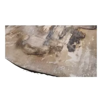 Monolit Dębowy 255x100x7,5 cm Dąb po Suszarni