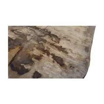 Monolit Dębowy 255x100x7,5 cm Dąb po Suszarni