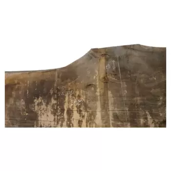 Monolit Dębowy 256x96x7,5 cm Dąb po Suszarni