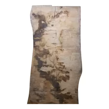 Monolit Dębowy 256x96x7,5 cm Dąb po Suszarni