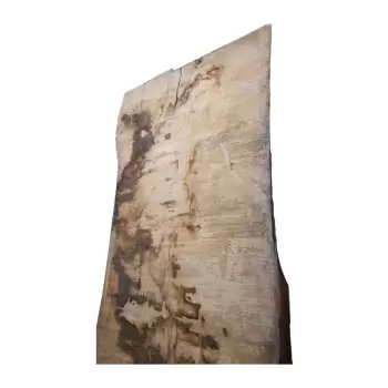 Monolit Dębowy 256x96x7,5 cm Dąb po Suszarni