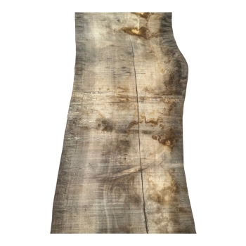 Monolit Jesionowy 395x87x10 cm