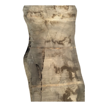 Monolit Jesionowy 395x77x6,5 cm