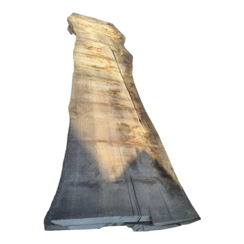 Monolit Jesionowy 395x77x6,5 cm