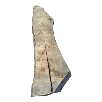 Monolit Jesionowy 330x85x7,5 cm