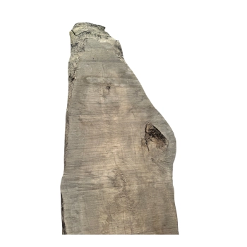 Monolit Jesionowy 330x85x7,5 cm