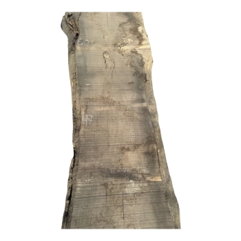 Monolit Jesionowy 395x60x6,5 cm