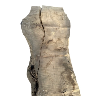 Monolit Jesionowy 395x60x6,5 cm