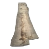 Monolit Jesionowy 405x85x8,5 cm