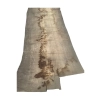 Monolit Jesionowy 405x85x8,5 cm