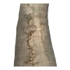Monolit Jesionowy 405x85x8,5 cm