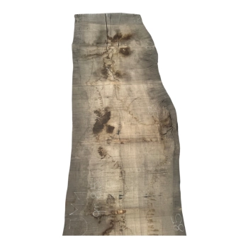 Monolit Jesionowy 405x85x8,5 cm
