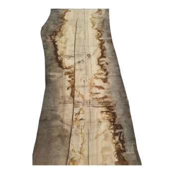 Monolit Jesionowy 405x85x8,5 cm